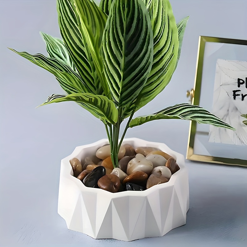 1/2 adet Büyük Yuvarlak Düzens - Resin Craft Ideas incelemesi ve fiyatı