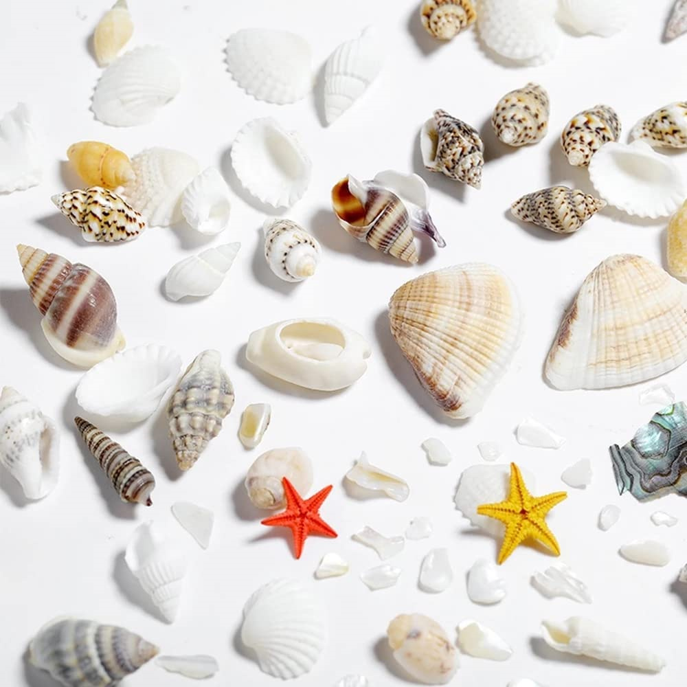 1 kutu deniz kabukları inci re - Resin Ocean Wave Mold incelemesi ve fiyatı