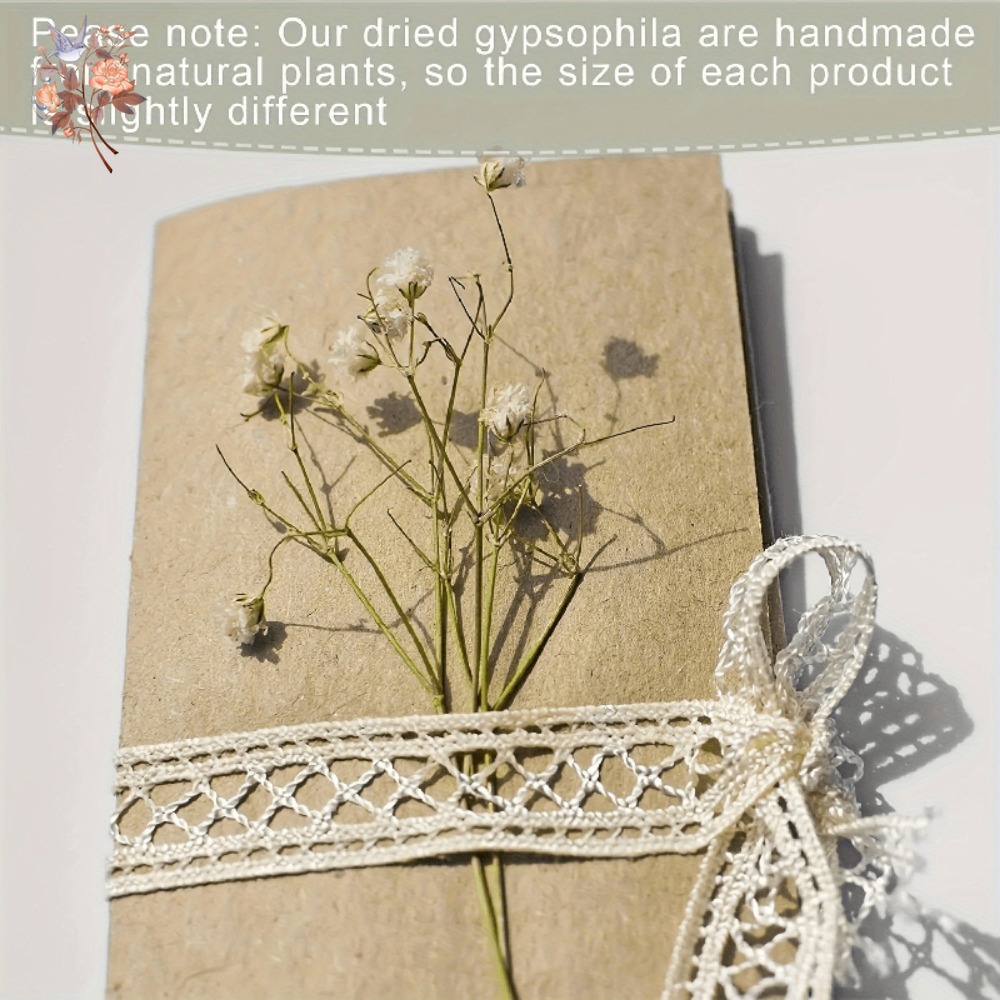 100 adet Mini Kurutulmuş Cipso - Resin Craft Ideas incelemesi ve fiyatı